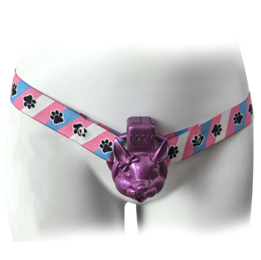 Trans Flag Paw Print Chastity Strap